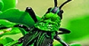 Jeu Green insect slide puzzle