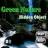 Green Nature Hidden Objects