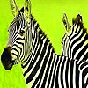 Jeu Green safari zebras puzzle en plein ecran