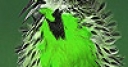 Jeu Green silly bird slide puzzle