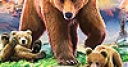 Jeu Grizzly bear and cub bears slide puzzle