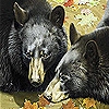 Jeu Grizzly bears  hibernation puzzle en plein ecran