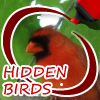 Jeu Hidden Birds en plein ecran