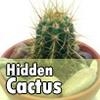 Jeu Hidden Cactus en plein ecran