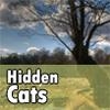Jeu Hidden Cats en plein ecran