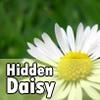 Jeu Hidden Daisy en plein ecran