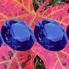 Jeu Hidden Gemstones: Autumn Leaves en plein ecran