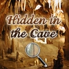 Jeu Hidden in the Cave en plein ecran