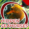 Jeu Hidden Seahorses en plein ecran