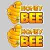 Jeu HoneyBEE en plein ecran
