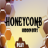 Honeycomb – Hidden Bees