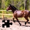 Jeu Horse Jigsaw Puzzles en plein ecran