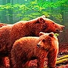 Jeu Hungry grizzly bears puzzle en plein ecran
