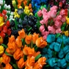 Jeu Jigsaw: Amsterdam Tulips en plein ecran
