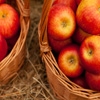Jeu Jigsaw: Apples in Baskets en plein ecran