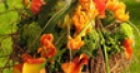 Jeu Jigsaw: Autumn Bouquet