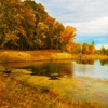 Jeu Jigsaw: Autumn Lake en plein ecran
