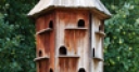 Jeu Jigsaw: Bird House