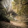 Jeu Jigsaw: Central Park en plein ecran