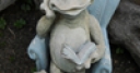 Jeu Jigsaw: Ceramic Frog