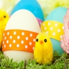 Jeu Jigsaw: Chicks And Easter Eggs en plein ecran
