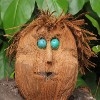 Jeu Jigsaw: Coconut Man en plein ecran
