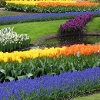 Jeu Jigsaw: Colorful Garden en plein ecran