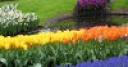 Jeu Jigsaw: Colorful Garden