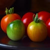 Jeu Jigsaw: Colorful Tomatoes en plein ecran