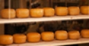 Jeu Jigsaw: Dutch Cheese