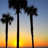 Jeu Jigsaw: Florida Sunrise en plein ecran