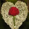 Jeu Jigsaw: Flower Heart en plein ecran