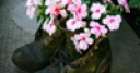 Jeu Jigsaw: Flower Shoes