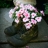 Jigsaw: Flower Shoes