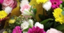 Jeu Jigsaw: Flowers for You
