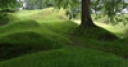 Jeu Jigsaw: Grassy Path