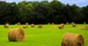 Jeu Jigsaw: Harvested Field