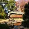 Jeu Jigsaw: Japanese Cottage en plein ecran