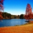 Jigsaw: Lake Autumn