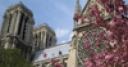 Jeu Jigsaw: Notre Dame Flowers