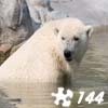 Jeu Jigsaw: Polar Bear 2 en plein ecran