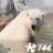 Jigsaw: Polar Bear 2