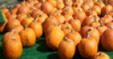 Jeu Jigsaw: Pumpkin Market