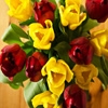 Jeu Jigsaw: Red And Yellow Tulips en plein ecran