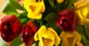 Jeu Jigsaw: Red And Yellow Tulips