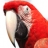 Jigsaw: Red Macaw