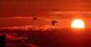 Jeu Jigsaw: Red Sunset