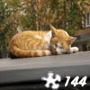 Jeu Jigsaw: Sleepy Cat en plein ecran