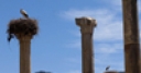Jeu Jigsaw: Stork Column