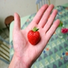 Jeu Jigsaw: Strawberry Hand en plein ecran
